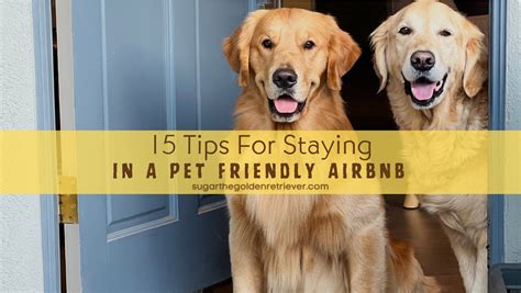 airbnb dog friendly|7 Best Pet